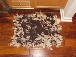 Alpaca Rugs #1