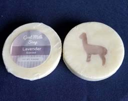 Goat Milk Soap - Lavender